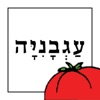 רשת פיצה עגבניה