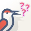 Job Prep Interview Questions