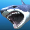 Great white shark breeding AR