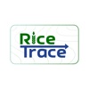 Rice Trace