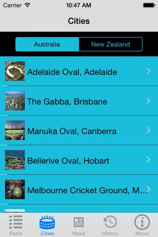 Cricket screenshot 3