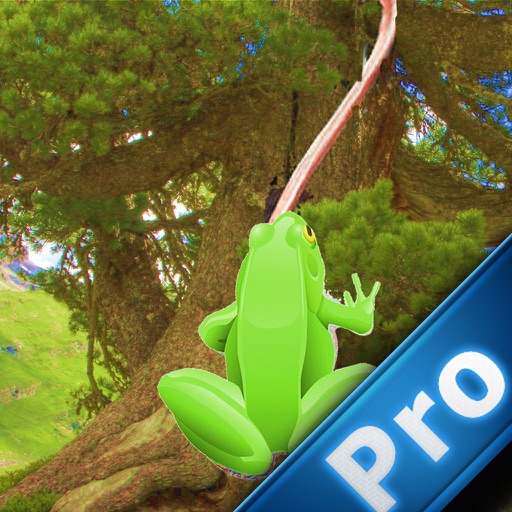 Extreme Frog Pro icon