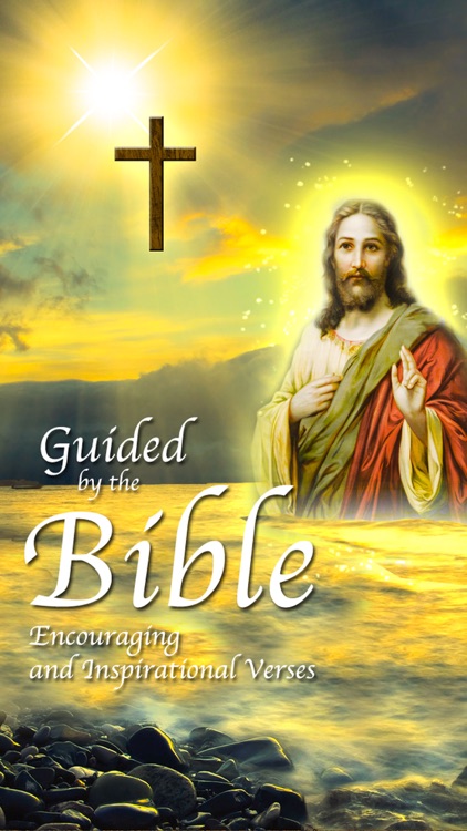 Bible Quotes - Daily Bible Studies & Random Devotions