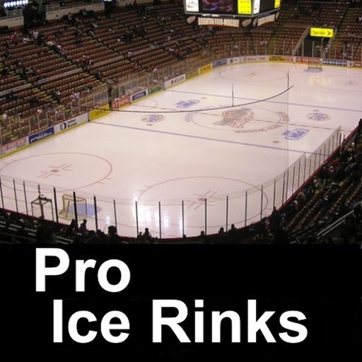 Pro Hockey Teams Arenas Ice Rinks icon