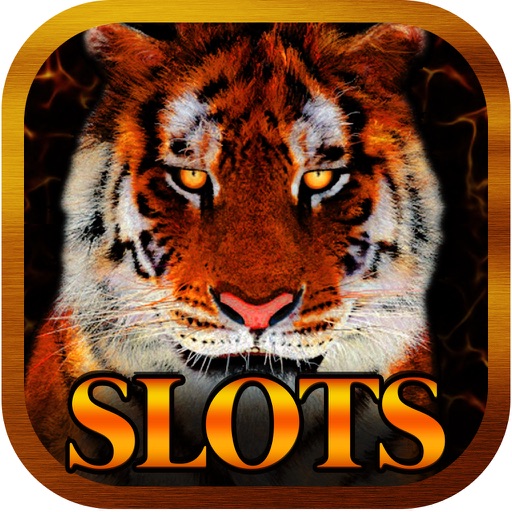 Aaaah! Animal Wild Safari Slots Journey - Free Casino Vacation Jackpot Slot Machines icon