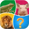 Word Pic Quiz Animals - guess favorites from the ocean, jungle, farm and pets