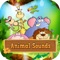 Your child will learn more than 20 sounds of animals