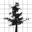 Throb of Encounters (悸动邂逅) icon