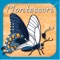 Parts Of Animals (Invertebrates)  A Montessori Approach To Zoology HD