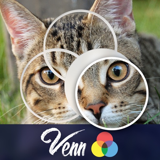 Venn Cats: Overlapping Jigsaw Puzzles iOS App