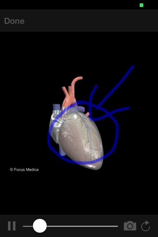 HEART -  Digital Anatomy screenshot 4
