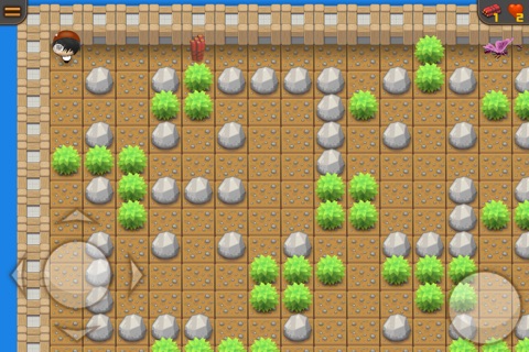 The Maze City screenshot 2