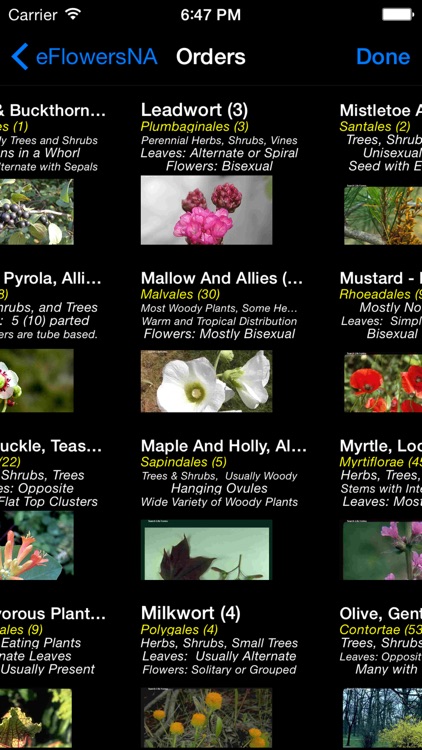 Wildflowers of North America - eFlowersNA - A Wildflower App