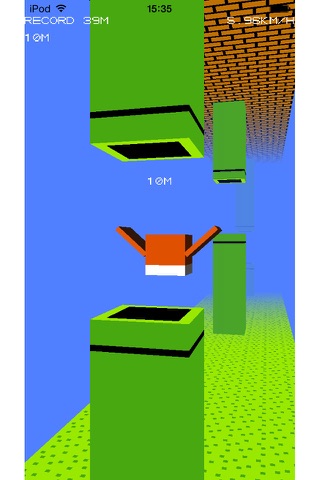 Jumping Bird 3D screenshot 2