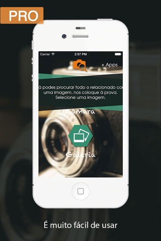 Search for Images Pro: Take a picture and discover what it is screenshot 2