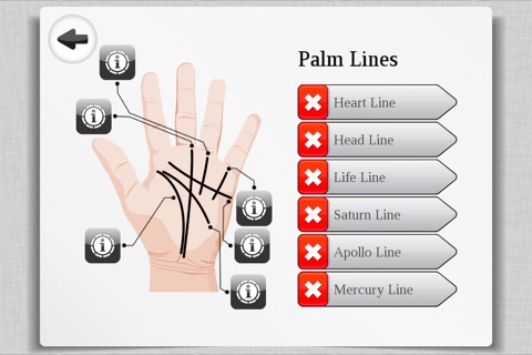 Palm Reading Premium screenshot 2