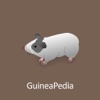 GuineaPedia 2