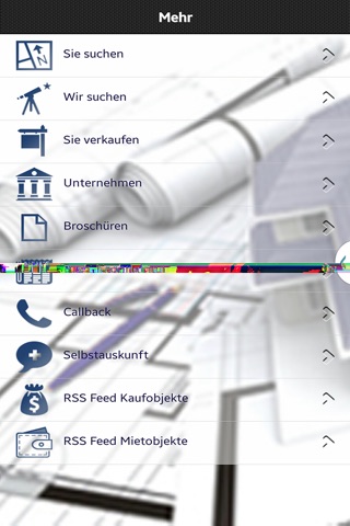 Dischinger Immobilien screenshot 2