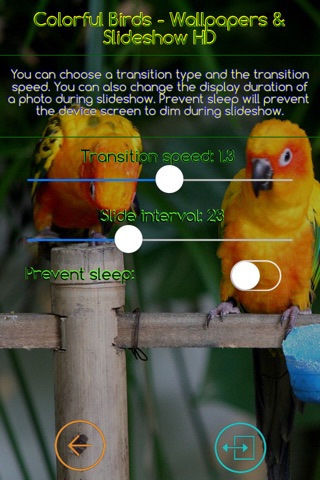 Colorful Birds - Wallpapers & Slideshow HD screenshot 4