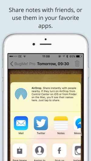 BugMe! Stickies Pro - Ink Notepad, Reminders and Alarms(圖4)-速報App