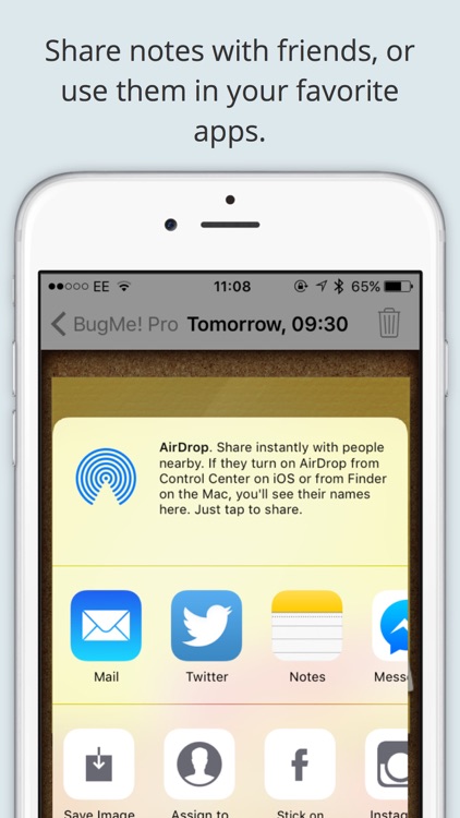 BugMe! Stickies Pro - Ink Notepad, Reminders and Alarms screenshot-3