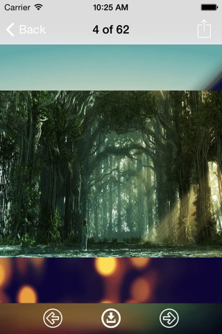 Forest Wallpaper: Best HD Wallpapers screenshot 3