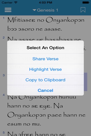 Twi Bible screenshot 4