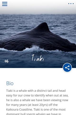 Whale Watch Kaikoura screenshot 4