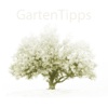 Garten Tipps - GartenAkademie.com