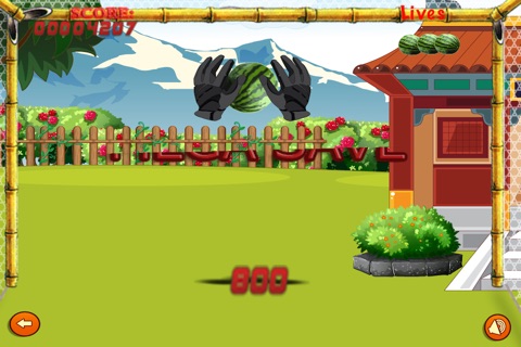 Epic Bird Ninjas - Fruit Slash - Free screenshot 4