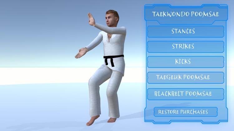 Taekwondo Poomsae