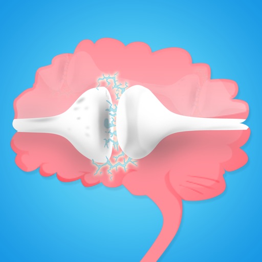 Squeeze Your Brain - The best game for the memory!!! icon