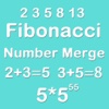 Number Merge 5X5