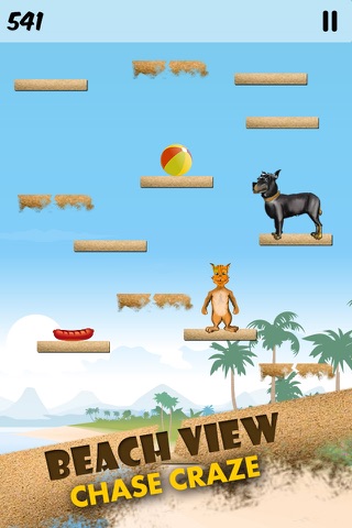 Cat Jump Dog Attack Chase Dash screenshot 4