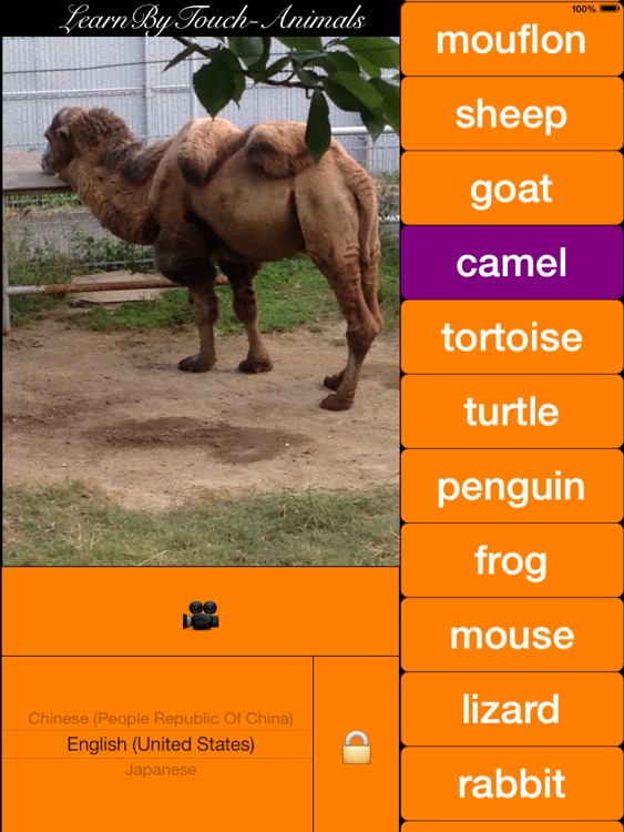 RealZoo(your baby can see animals at any time and in any where) screenshot-4