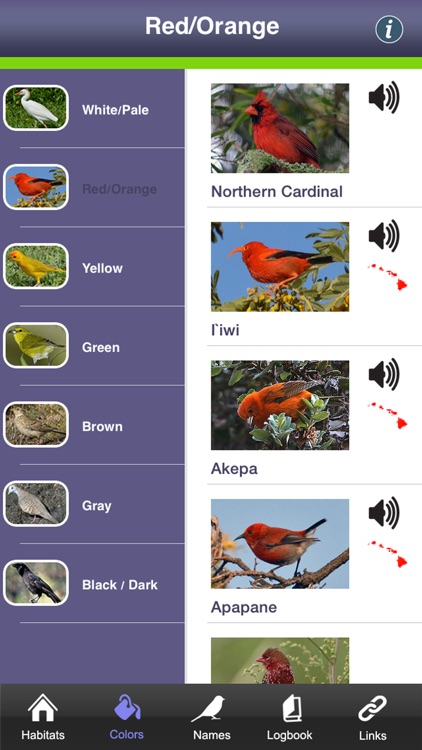 Bird ID Hawaii for iPhone screenshot-3