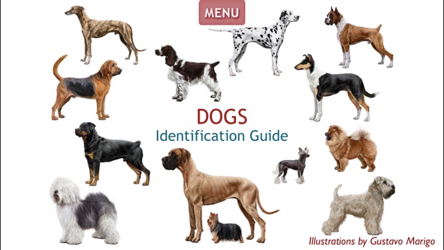 Dogs - Identification Guide(圖1)-速報App