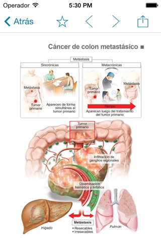 Miniatlas Colon Cancer screenshot 4