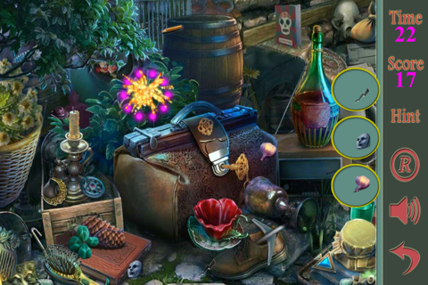 Hidden Objects Of Echoes In The Silence screenshot 4
