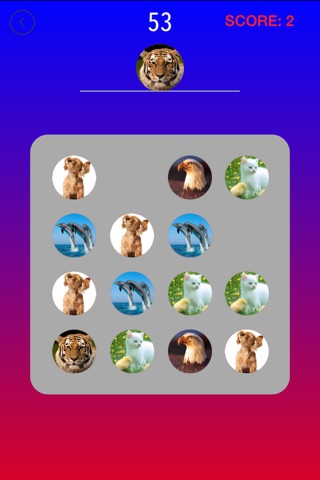 Select Animal screenshot 2