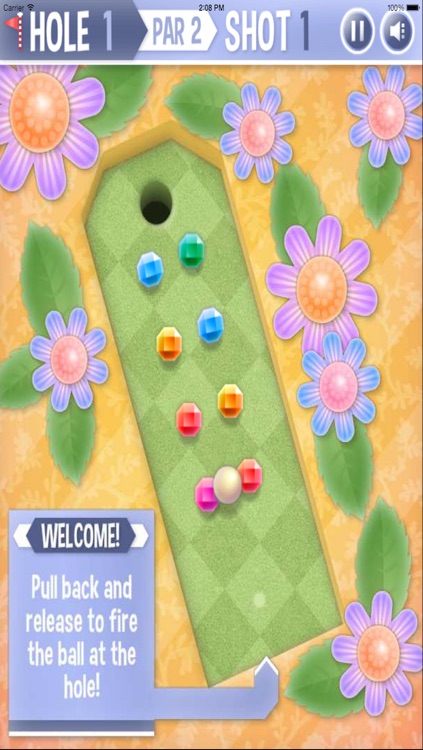 Mini Golf Garden