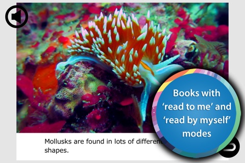 Ocean Animal Learning - Educational Games, Books and Videos about Marine Life by b-creative Journey screenshot 3