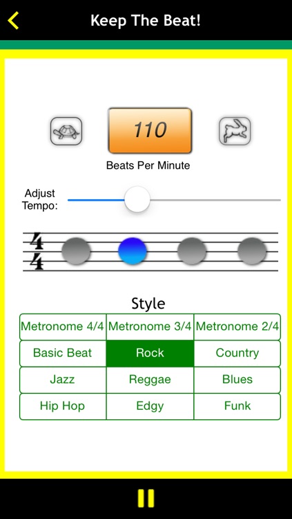Guitar Basics For Dummies