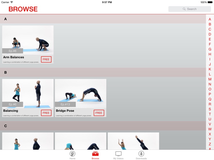 Vinyasa Yoga Lessons for iPad screenshot-3