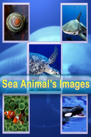 Wild Life Wallpapers -Best HD Wallpapers of Animal World screenshot 2