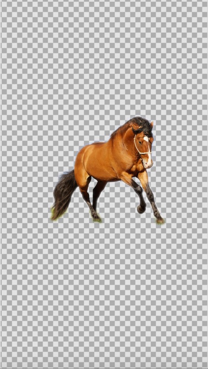 KnockOut Pro- Professional Background Remover & Sticker Maker