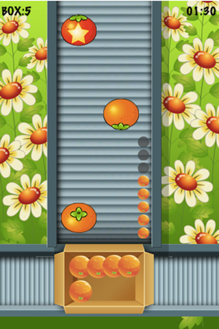 Orange Falling Pro - Fruit Collection Game screenshot 2