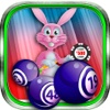 Bingo Easter Holiday - Play Online Casino Game for FREE !