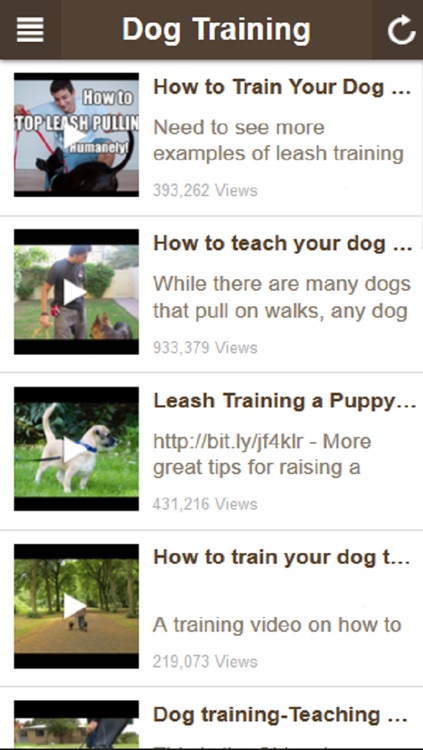 Puppy And Dog Training Tips - Discover How To Train a Dog The Right Way Yourself at Home screenshot-3