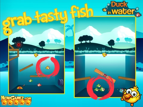 Duck in Water HD - Funny Games a Free Skill Puzzle for Kids screenshot 3